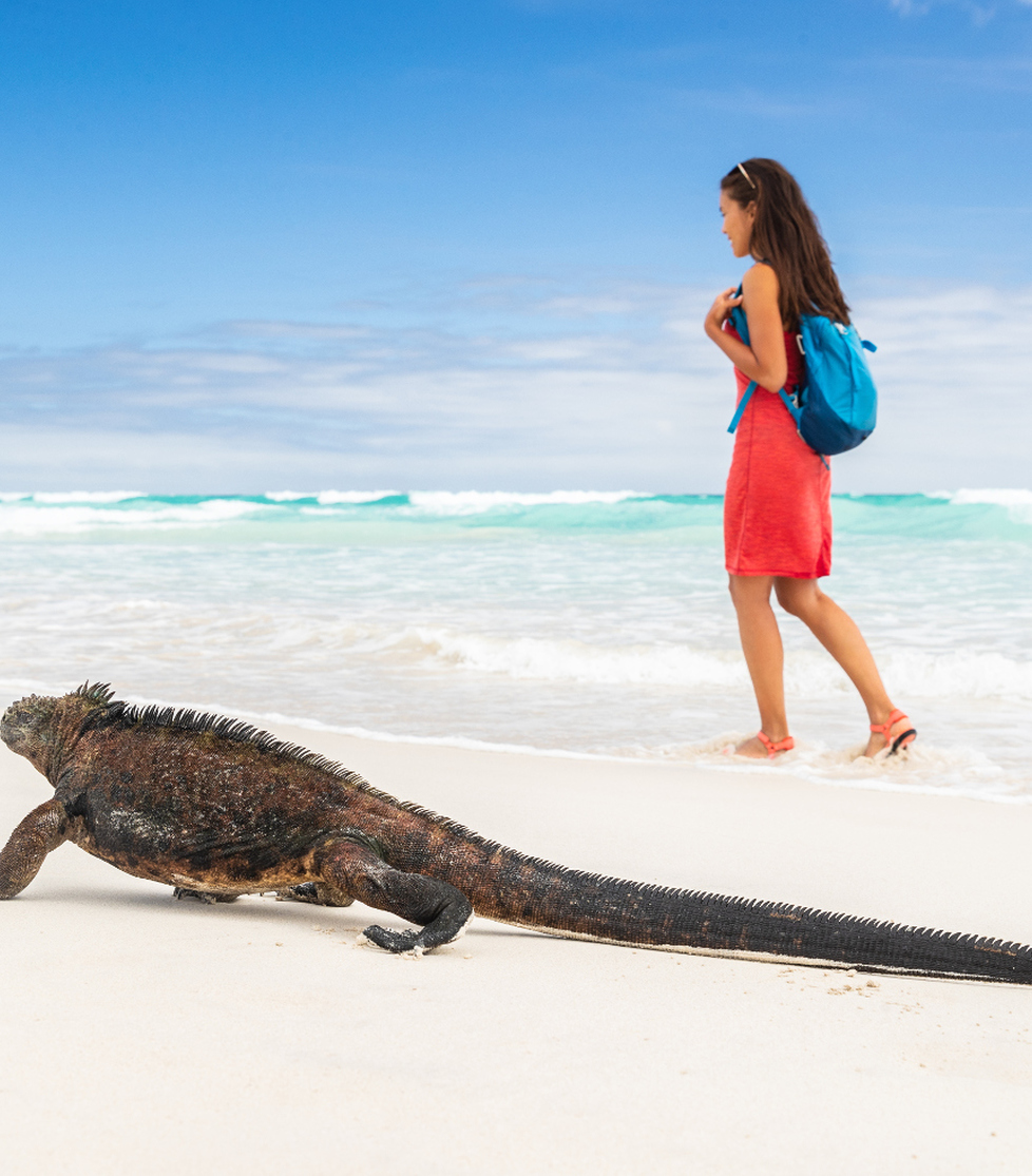 Galápagos Islands Luxury Yacht Charter Destination BGYB BGYB