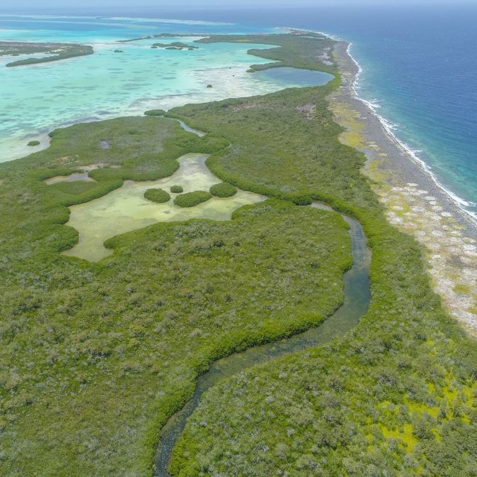 Mangrove Exploration at Espenquí